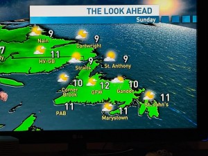 Newfoundland Forecast